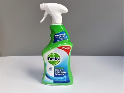 MOULD & MILDEW REMOVER (DETTOL)